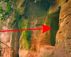 Su excéntrico tío le deja un viejo garaje en su testamento. ¿Qué hay