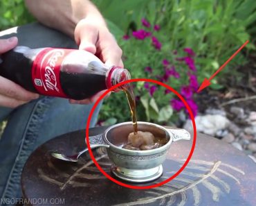 Agitó una botella de refresco, lo que sucedió después te dejará alucinado 1 Agitó una botella de refresco, lo que sucedió después te dejará alucinado