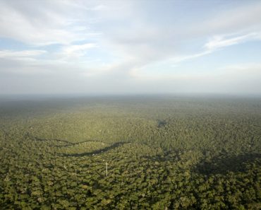La Torre Más Alta De América Del Sur Está En Medio De La Selva Amazónica. ¡Imágenes Increíbles! 2