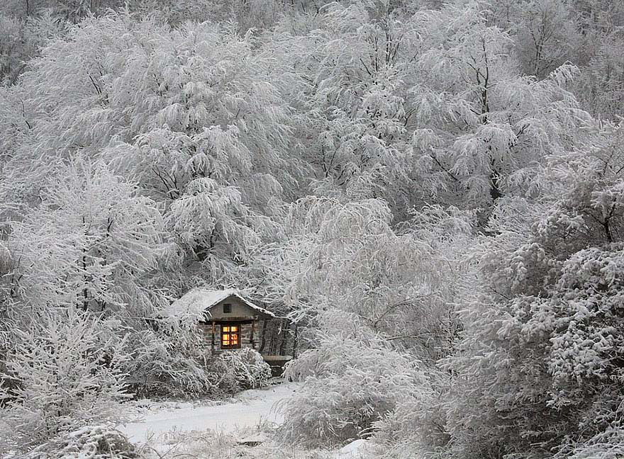 25 Casas Solitarias Perdidas En Majestuosos Paisajes Invernales. La #5 Es Maravillosa