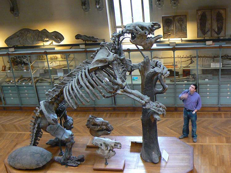10 Terroríficas Criaturas Prehistóricas (Que No Eran Dinosaurios)