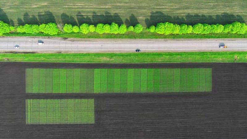 30 Fotos Que No Te Creerás Cómo Se Han Tomado. Alucinante