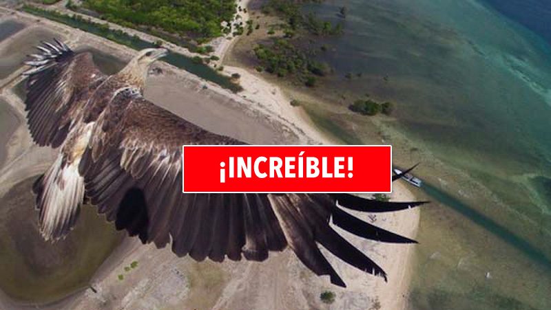 30 Fotos Que No Te Creerás Cómo Se Han Tomado. Alucinante 1