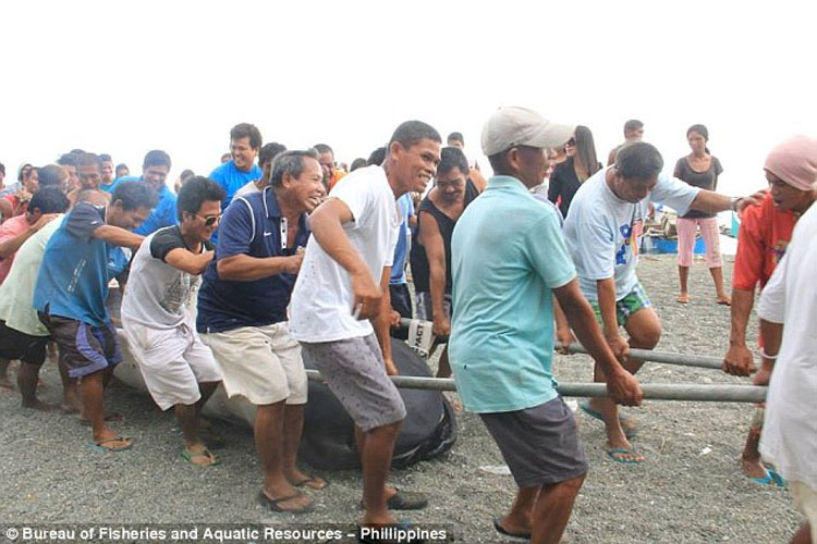 Monstruo "Desdentado" De Las Profundidades Capturado Por Pescadores En Filipinas