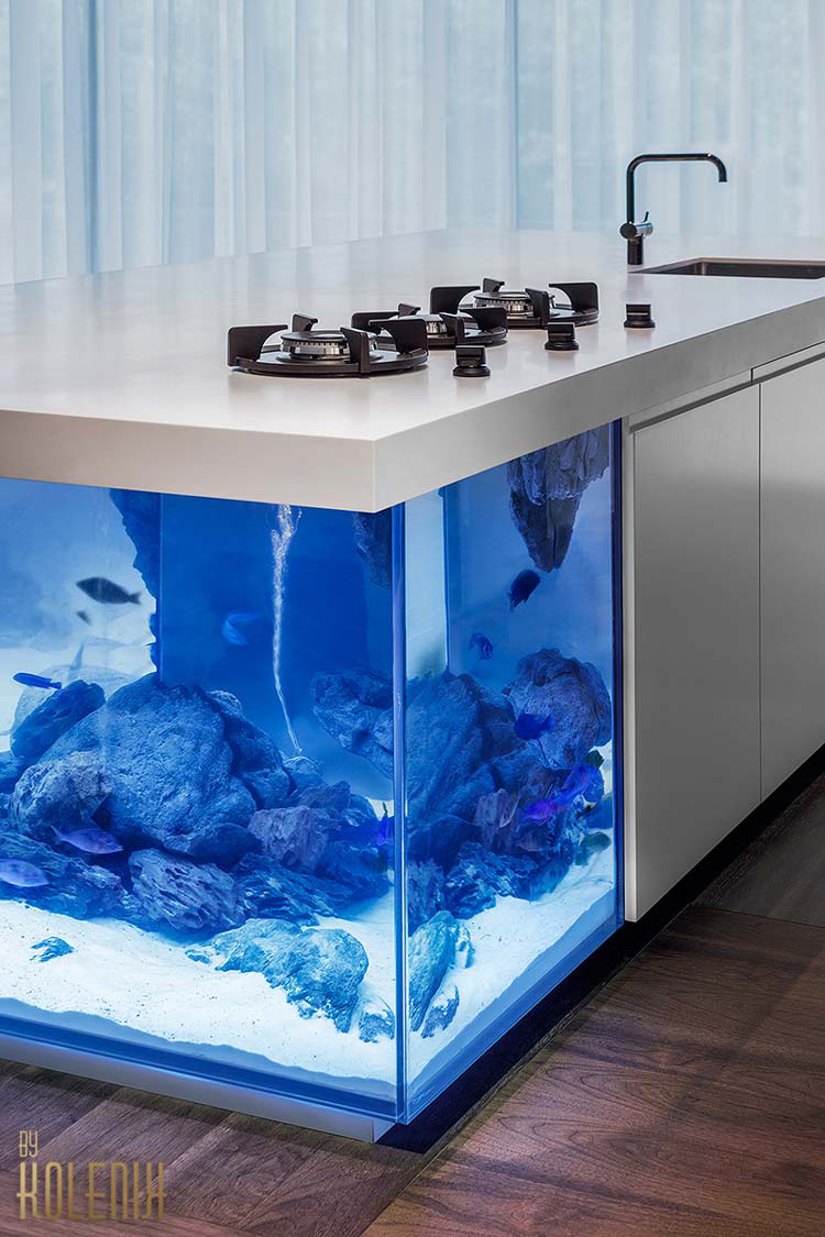 Este increíble acuario con una encimera de cocina está sorprendiendo a todo el mundo