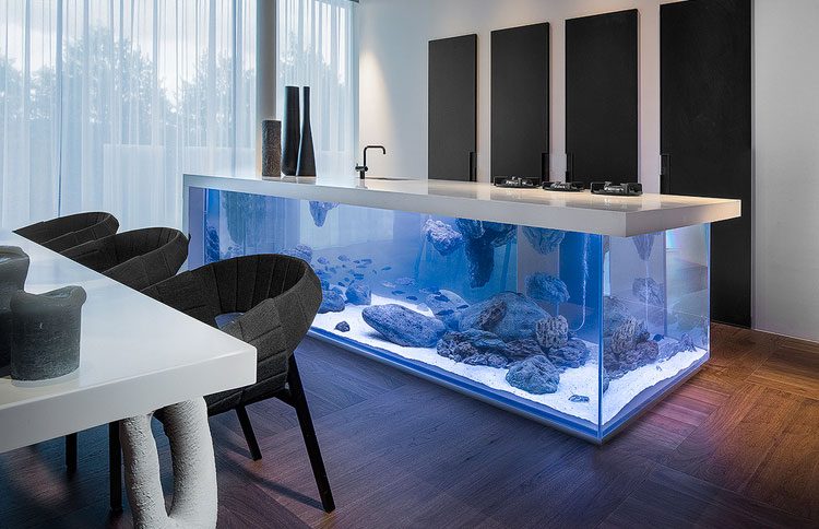 Este increíble acuario con una encimera de cocina está sorprendiendo a todo el mundo 1