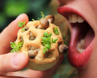Llegan Los Alimentos Vivos Que Crecen Antes De Comerlos 5 Llegan Los Alimentos Vivos Que Crecen Antes De Comerlos 1