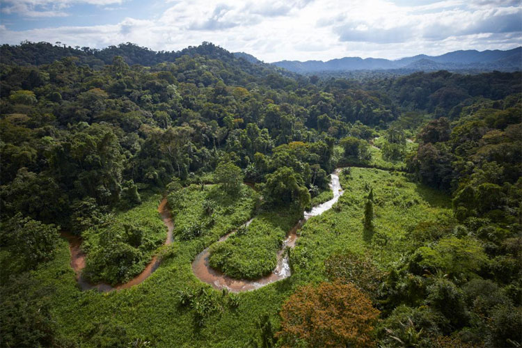 Exclusiva: Tras 500 Años De Búsqueda Se Ha Encontrado La "Ciudad Del Dios Mono" En Honduras