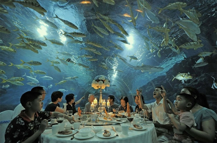  34 Fotos Que Puede Que No Haya Visto Antes... Pero Que Definitivamente Tiene Que ver