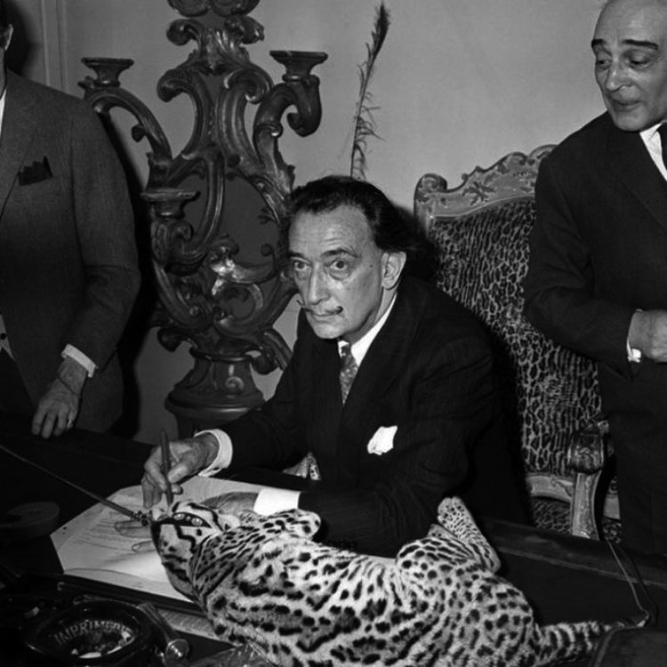 32 Espléndidas Fotos De Salvador Dalí Que Probablemente Nunca Has Visto Antes