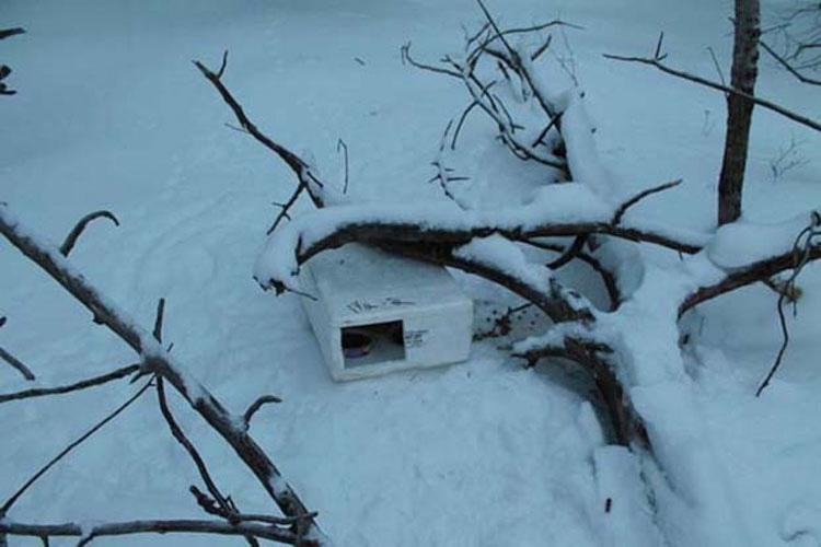 Este hombre encontró una caja en la nieve. No se imaginaba lo que encontró dentro