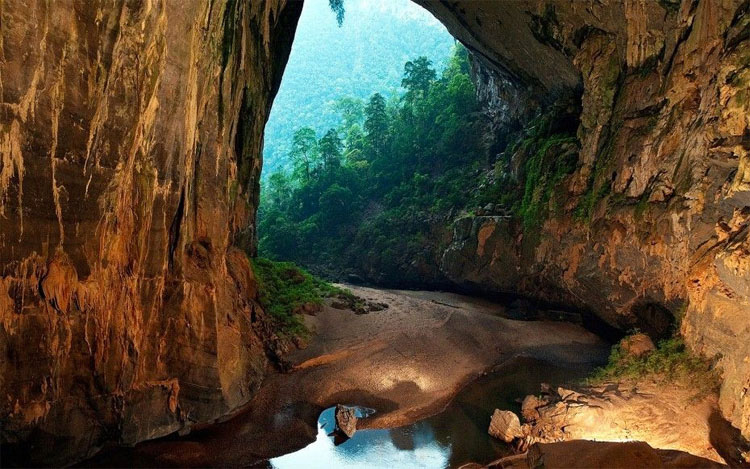 La Cueva Más Grande Del Mundo Tiene Su Propio Río, Selva Y Clima. ¡INCREÍBLES Imágenes! 15