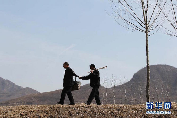 Esta historia EMOTIVA te emocionará: un ciego y su amigo sin brazos plantan más de 10.000 árboles en China