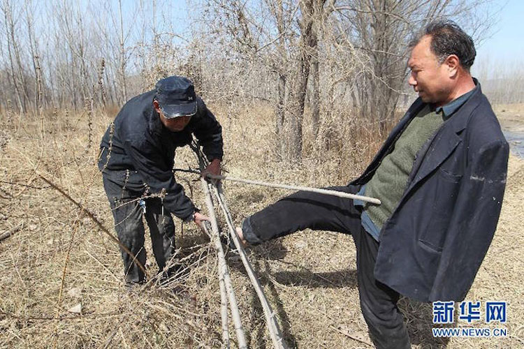 Esta historia EMOTIVA te emocionará: un ciego y su amigo sin brazos plantan más de 10.000 árboles en China