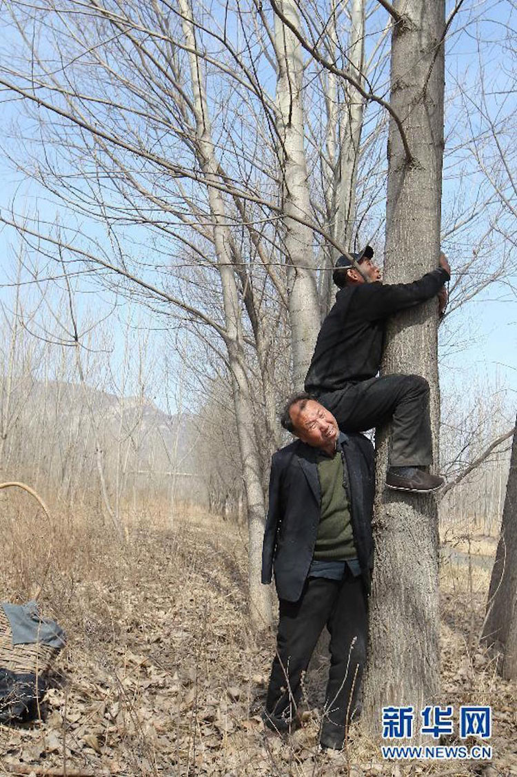 Esta historia EMOTIVA te emocionará: un ciego y su amigo sin brazos plantan más de 10.000 árboles en China