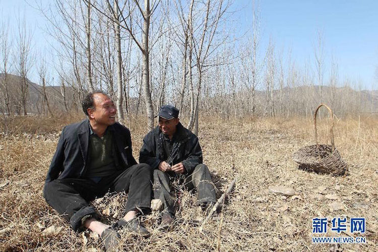 Esta historia EMOTIVA te emocionará: un ciego y su amigo sin brazos plantan más de 10.000 árboles en China