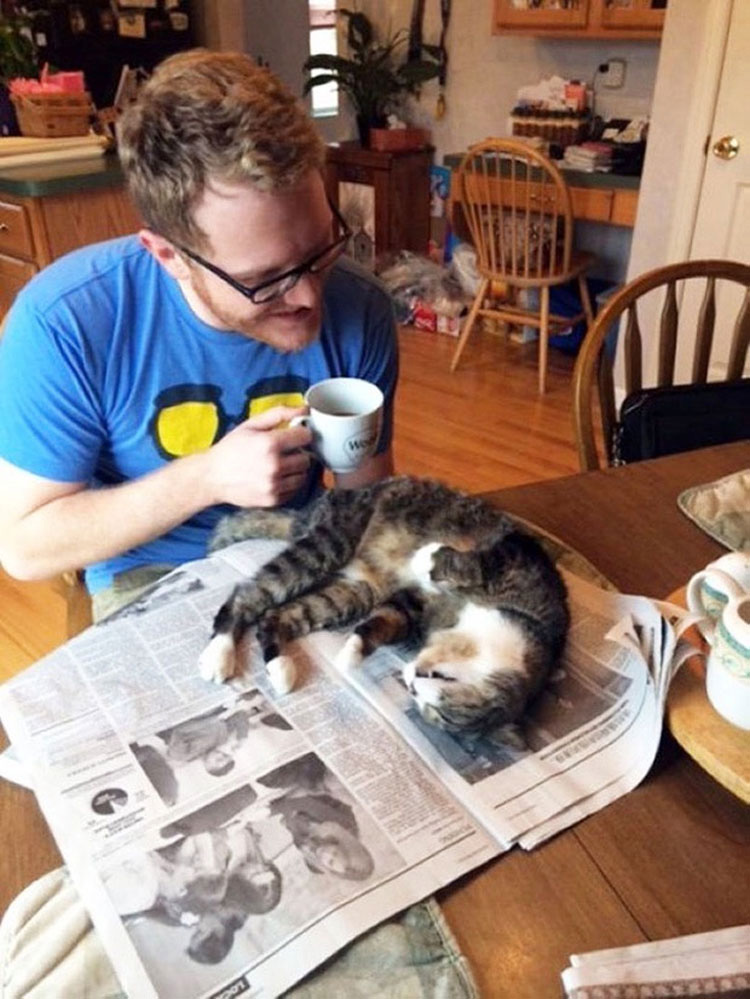 21 fotos que demuestran que los gatos NO QUIEREN que leas. La #10 te hará reír