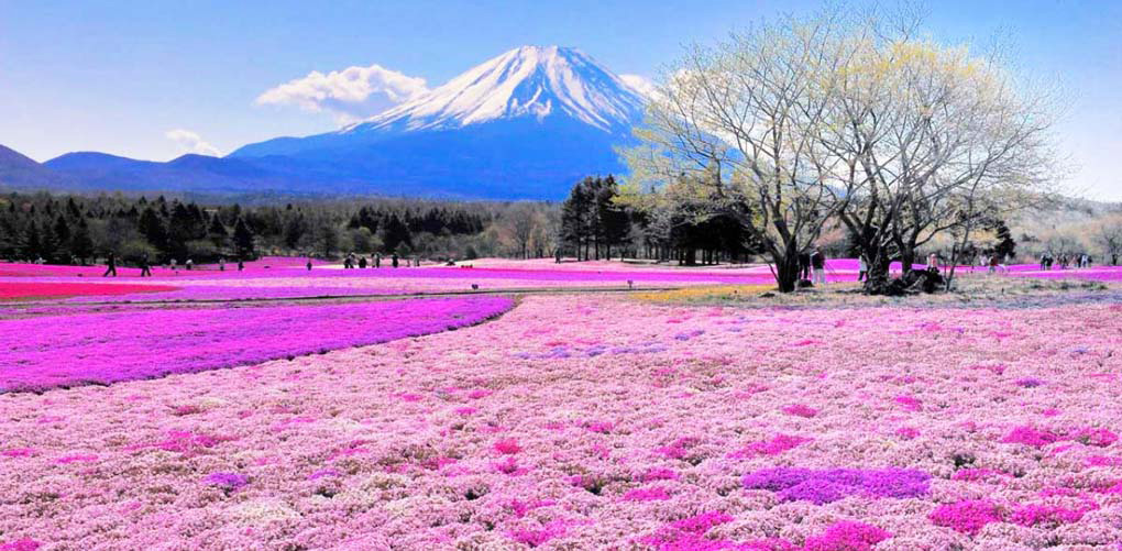 10 De Los Lugares Más Coloridos De La Tierra. Alucinantes Colores Del #8