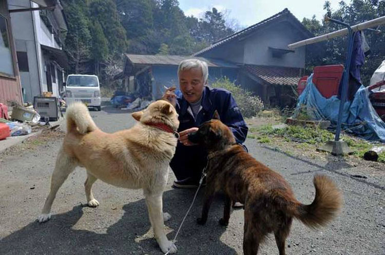 Este hombre se quedó en Fukushima para alimentar a los animales que todos los demás dejaron