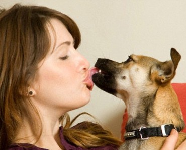 ¿Son buenos para usted los besos de su perro? Los expertos llegan a una conclusión