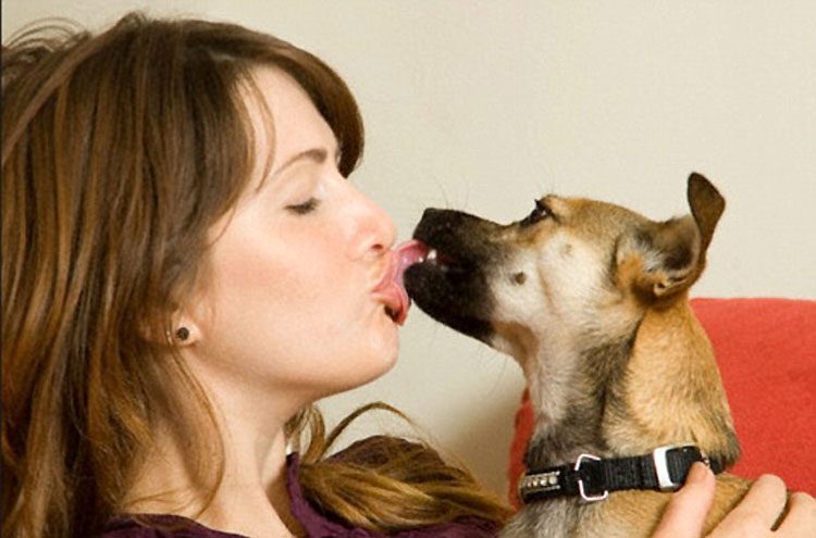 ¿Son buenos para usted los besos de su perro? Los expertos llegan a una conclusión