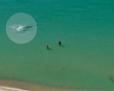 Estos 2 turistas no tenían NI IDEA de que estaban tan cerca de un peligro mortal 3 Estos 2 turistas no tenían NI IDEA de que estaban tan cerca de un peligro mortal
