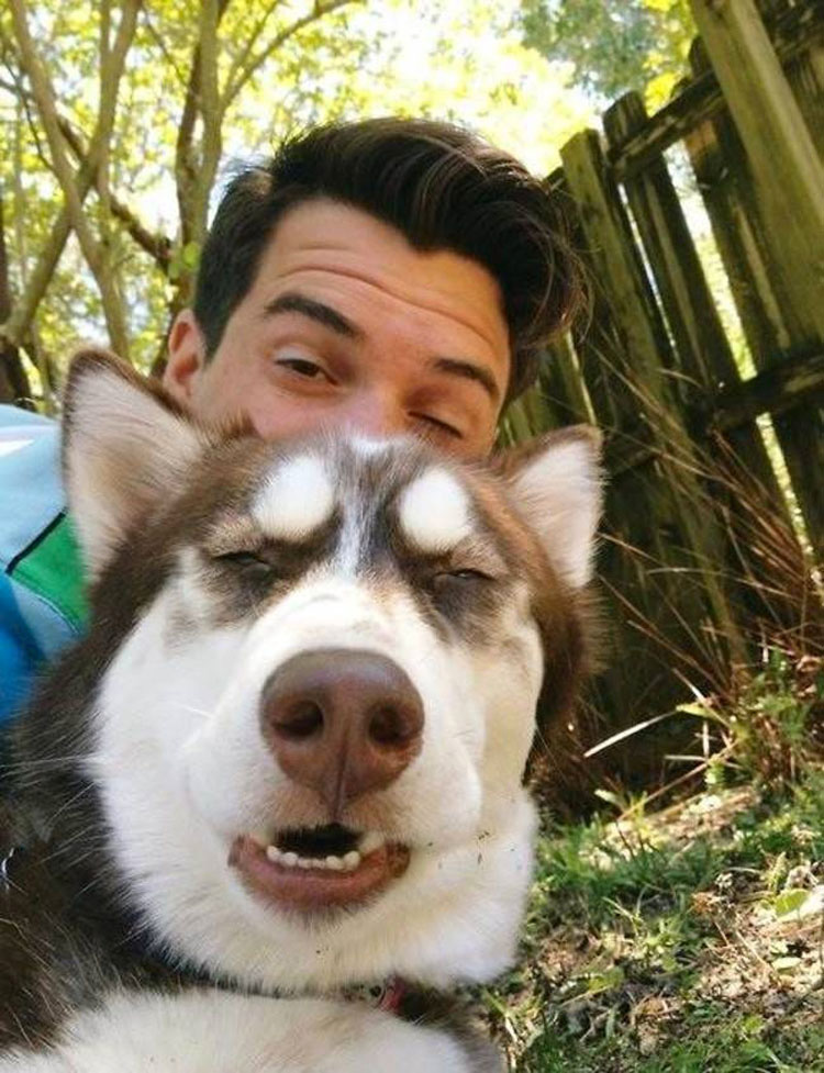 32 animales que NO aprueban tu adicción por las selfies