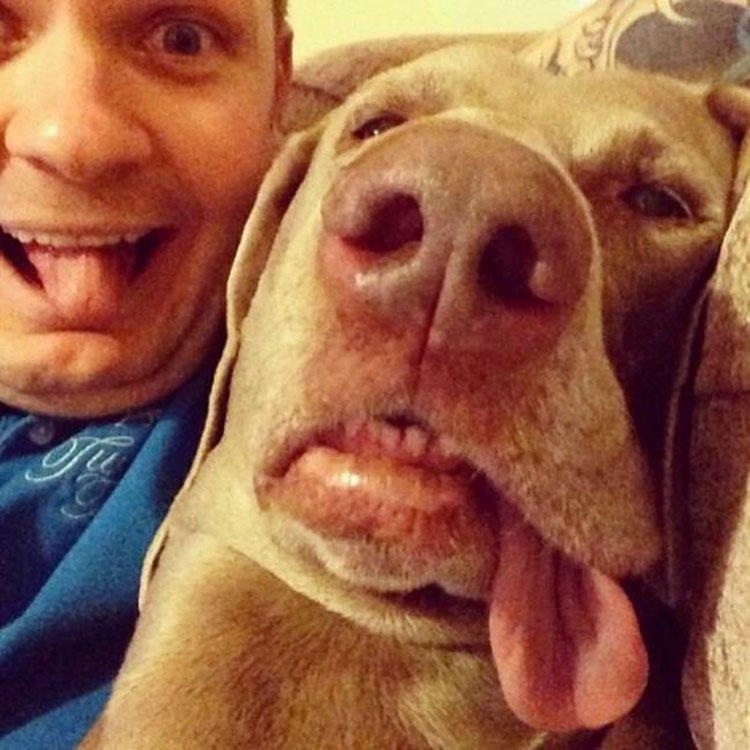32 animales que NO aprueban tu adicción por las selfies