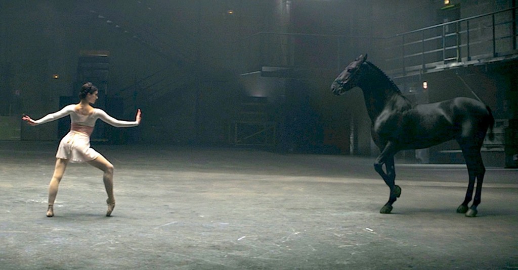 La bailarina baila de forma asombrosa, pero MIRA lo que hace el caballo