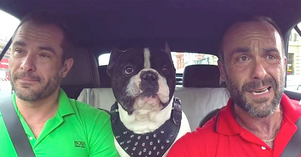 Puso una cámara en el coche, pero cuando el perro hace ESTO... ¡No me lo puedo creer! 1 Puso una cámara en el coche, pero cuando el perro hace ESTO... ¡No me lo puedo creer!