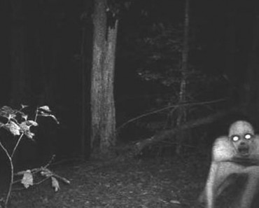 Lo que 14 cazadores filmaron con sus cámaras le dará PESADILLAS 2