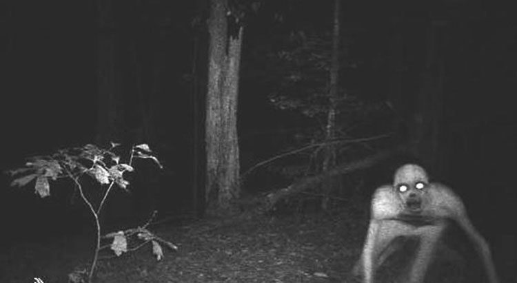 Lo que 14 cazadores filmaron con sus cámaras le dará PESADILLAS 1
