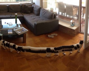 30 fotos panorámicas que se hicieron TERRIBLEMENTE mal 1 30 fotos panorámicas que se hicieron TERRIBLEMENTE mal 1