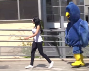 ¿Qué harías si el pájaro de Twitter te siguiera en la vida real?