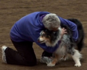 Durante la última prueba de Agility de este viejo perro, su propietario hizo algo que me dejo sollozando