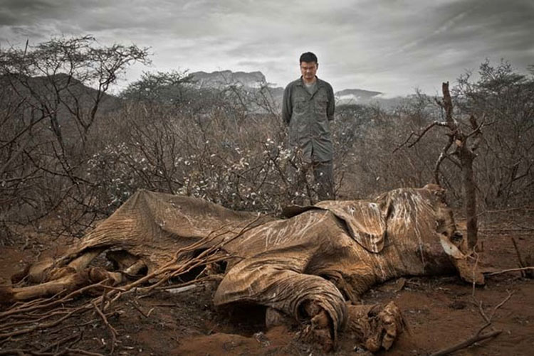 El mundo puede estar peor de lo que cree. Estas 25 fotos lo PRUEBAN