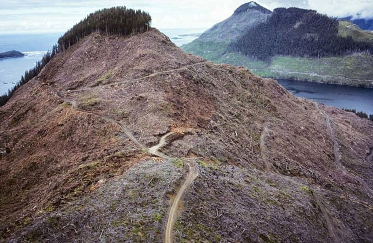 El mundo puede estar peor de lo que cree. Estas 25 fotos lo PRUEBAN