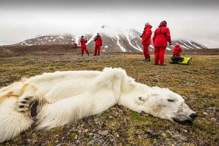 El mundo puede estar peor de lo que cree. Estas 25 fotos lo PRUEBAN