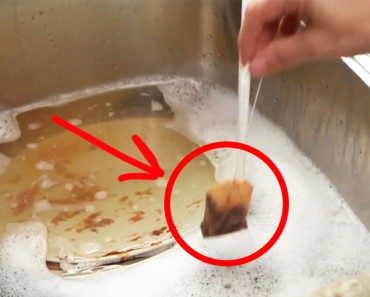 Sumergió una bolsa de té en un fregadero lleno de platos sucios. Nunca pensé que haría ESTO DESPUÉS