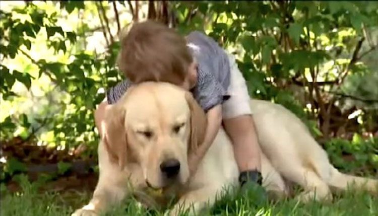 El vídeo de la amistad de un niño y su perro que te llegará al corazón y te emocionará