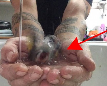 Intenta que su pájaro se de un baño, en el minuto 0:31 nos quedamos ENAMORADOS de lo que vimos 7 Intenta que su pájaro se de un baño, en el minuto 0:31 nos quedamos ENAMORADOS de lo que vimos