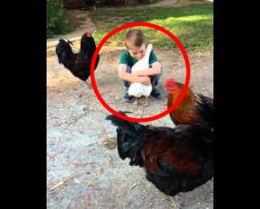 El vídeo del niño y la gallina que ENTERNECE a Internet