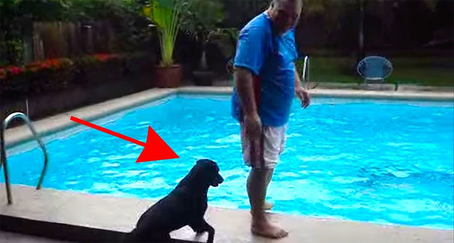 Se acerca hasta el borde de la piscina, ahora ATENTOS al perro que tiene detrás