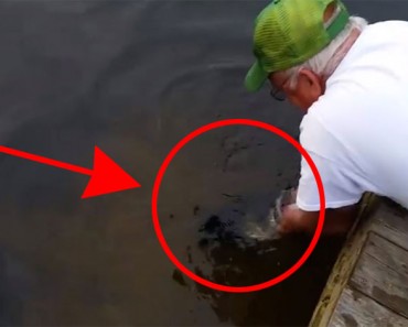 Este hombre mete su mano en el agua. Segundos más tarde... ¡Esto es UNA LOCURA!