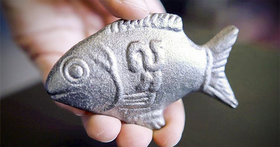 Este pez de la suerte de hierro puede salvar MILLONES de vidas. Descubre cómo