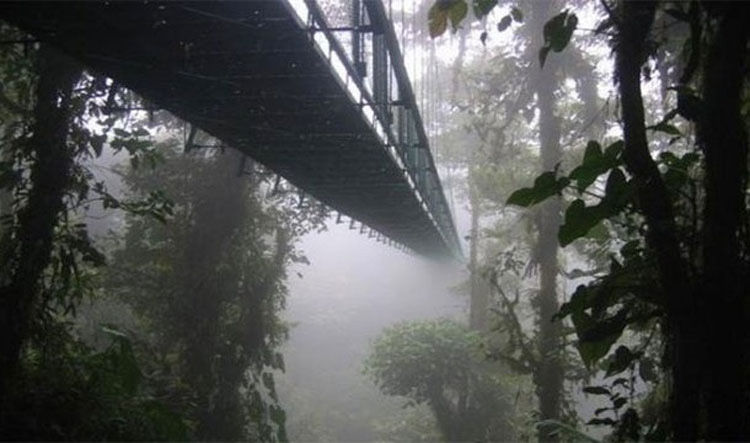 23 de los puentes más peligrosos del mundo... El #14 es francamente ATERRADOR