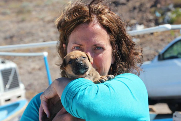 Mientras estaban de vacaciones esta pareja hizo algo SORPRENDENTE, ¡rescataron a 34 gatos y perros abandonados!