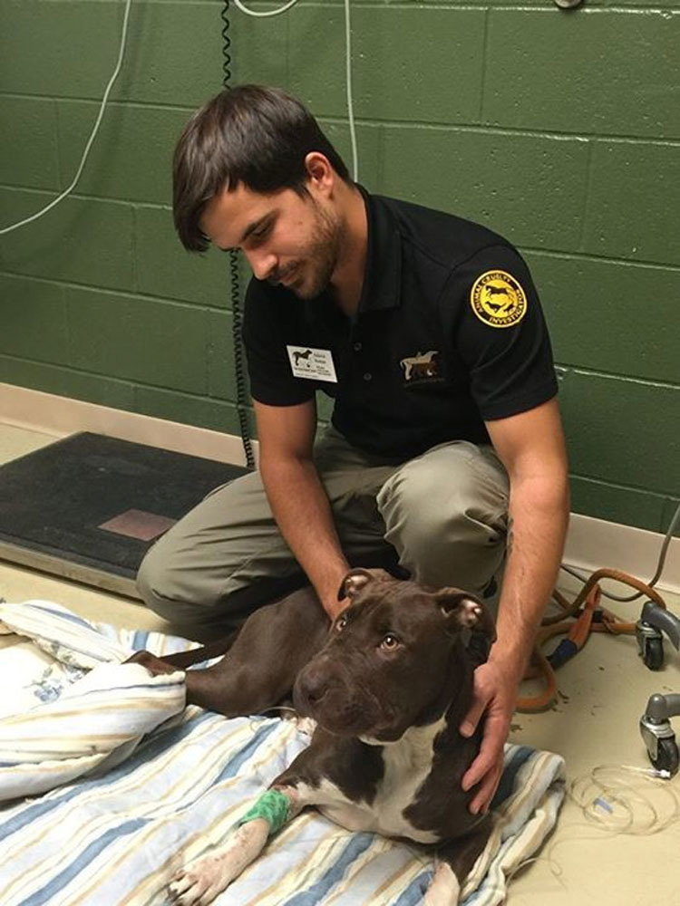 Este pobre perro se enfrentó a una crueldad INIMAGINABLE, pero fue rescatado por un equipo increíble