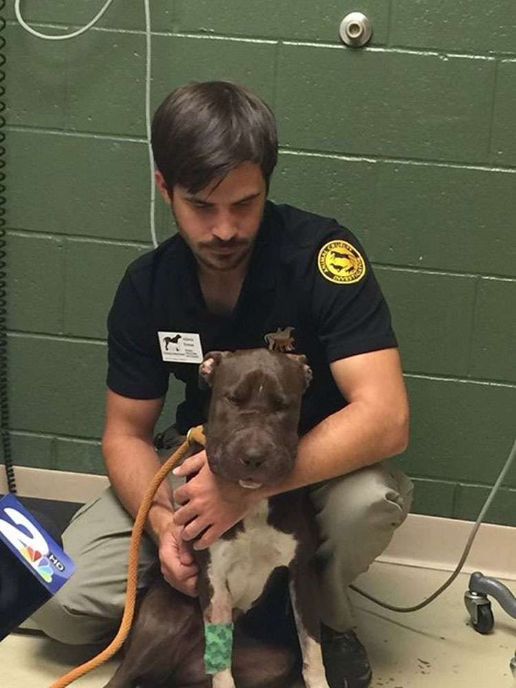 Este pobre perro se enfrentó a una crueldad INIMAGINABLE, pero fue rescatado por un equipo increíble