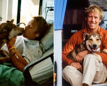Este es el emotivo homenaje a Denali, el perro que ayudó a un hombre a vencer al cáncer 9 Este es el emotivo homenaje a Denali, el perro que ayudó a un hombre a vencer al cáncer